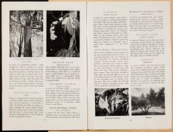 SK_HQ_Box 5_Scrapbook 16_011_48.jpg