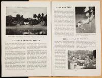 SK_HQ_Box 5_Scrapbook 16_011_49.jpg