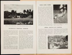 SK_HQ_Box 5_Scrapbook 16_011_49.jpg