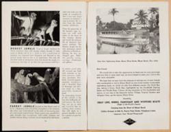 SK_HQ_Box 5_Scrapbook 16_011_50.jpg