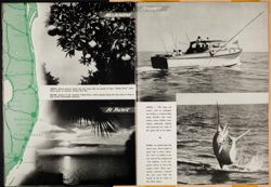 SK_HQ_Box 5_Scrapbook 16_017_26.jpg