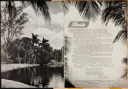 SK_HQ_Box 5_Scrapbook 16_017_02.jpg