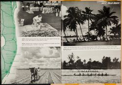 SK_HQ_Box 5_Scrapbook 16_017_27.jpg