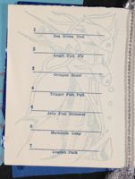 SK_HQ_Box 3_Scrapbook 10_109_01_06.jpg