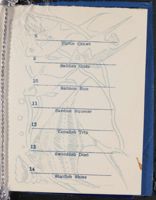 SK_HQ_Box 3_Scrapbook 10_109_01_07.jpg