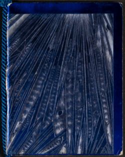 SK_HQ_Box 4_Scrapbook 11_038_01.jpg