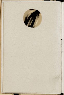 SK_HQ_Box 4_Scrapbook 11_044_04.jpg