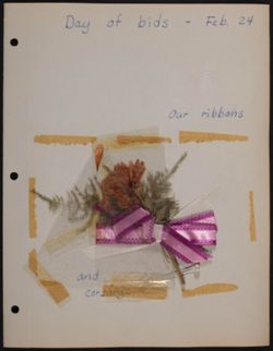 SK_HQ_Box 10_Scrapbook 29_013.jpg