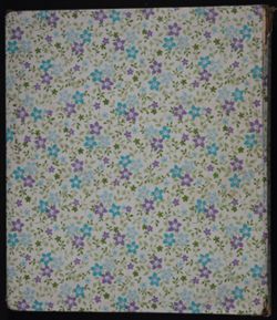 SK_HQ_Box 12_Scrapbook 36_023.jpg