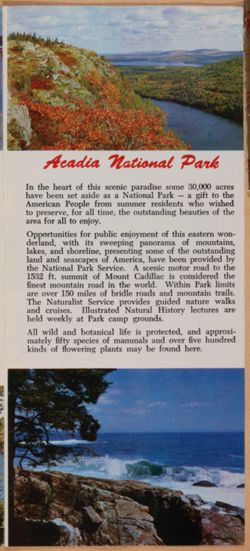 SK_HQ_Box 11_Scrapbook 35_025_02_03.jpg