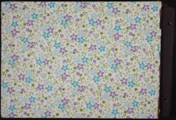 SK_HQ_Box 13_Scrapbook 40_048.jpg