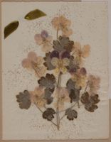 SK_HQ_Box 14_Scrapbook 43_036_02_01.jpg