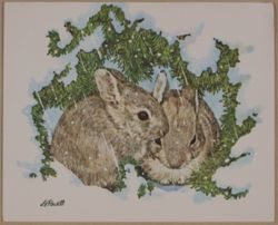 SK_HQ_Box 14_Scrapbook 43_042_03_01.jpg