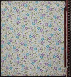 SK_HQ_Box 13_Scrapbook 39_001.jpg