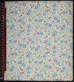 SK_HQ_Box 13_Scrapbook 39_020.jpg