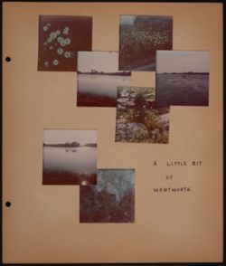 SK_HQ_Box 16_Scrapbook 50_014.jpg