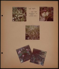 SK_HQ_Box 16_Scrapbook 50_019.jpg