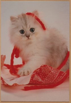 SK_HQ_Box 17_Scrapbook 52_018_02_01.jpg