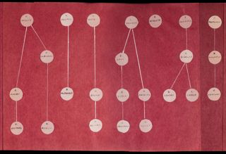 Alpha Family Tree, 1956