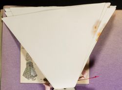 SK_HQ_Box 7_Scrapbook 22_007_01_10.jpg