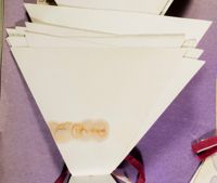 SK_HQ_Box 7_Scrapbook 22_007_03_14.jpg