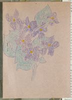 SK_HQ_Box 7_Scrapbook 22_113_01_01.jpg