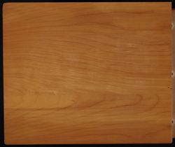 SK_HQ_Box 12_Scrapbook 38_001.jpg