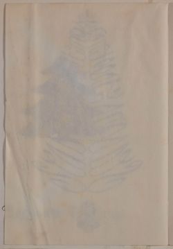 SK_HQ_Box 12_Scrapbook 38_096_01_02.jpg