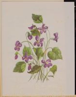 SK_HQ_Box 17_Scrapbook 53_025_01_01.jpg