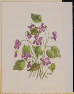 SK_HQ_Box 17_Scrapbook 53_025_01_01.jpg