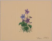 SK_HQ_Box 17_Scrapbook 53_076_02_01.jpg