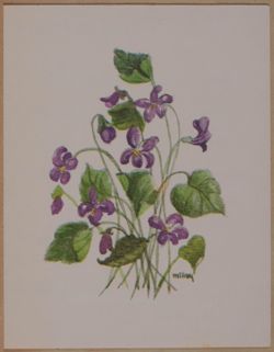 SK_HQ_Box 19_Scrapbook 58_003_01_01.jpg