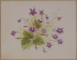 SK_HQ_Box 19_Scrapbook 58_040_02_01.jpg