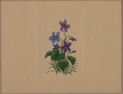 SK_HQ_Box 19_Scrapbook 58_050_01_01.jpg