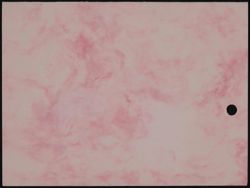 SK_HQ_Box 20_Scrapbook 61_097.jpg