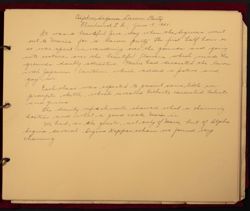 SK_HQ_Box 25_Scrapbook 94_064.jpg