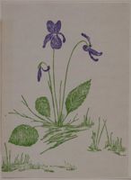 SK_HQ_Box 15_Scrapbook 47_026_02_01.jpg