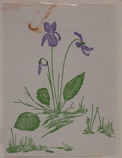 SK_HQ_Box 15_Scrapbook 47_052_02_01.jpg