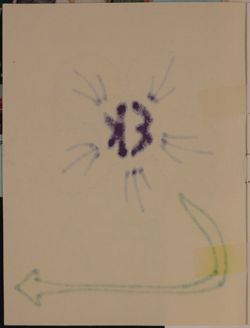 SK_HQ_Box 15_Scrapbook 47_022_03_02.jpg