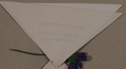 SK_HQ_Box 15_Scrapbook 45_046_01_03_01.jpg