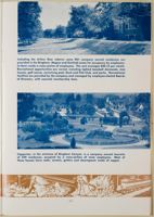 SK_HQ_Box 6_Scrapbook 19_032_23.jpg