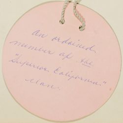 SK_HQ_Box 6_Scrapbook 19_034_02.jpg