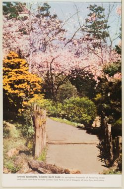 SK_HQ_Box 6_Scrapbook 19_046_13.jpg