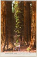 SK_HQ_Box 6_Scrapbook 19_046_19.jpg