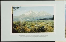 SK_HQ_Box 6_Scrapbook 19_046_26.jpg