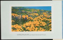 SK_HQ_Box 6_Scrapbook 19_046_28.jpg