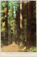 SK_HQ_Box 6_Scrapbook 19_046_31.jpg