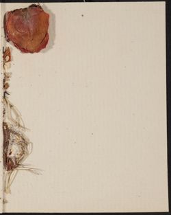 SK_HQ_Box 24_Scrapbook 82_090_01_07.jpg