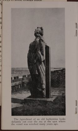 SK_HQ_Box 24_Scrapbook 82_022_02_08.jpg