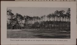 SK_HQ_Box 24_Scrapbook 82_022_02_12.jpg